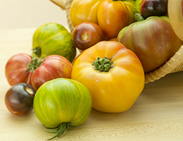 Tasty ways to use fresh tomatoes