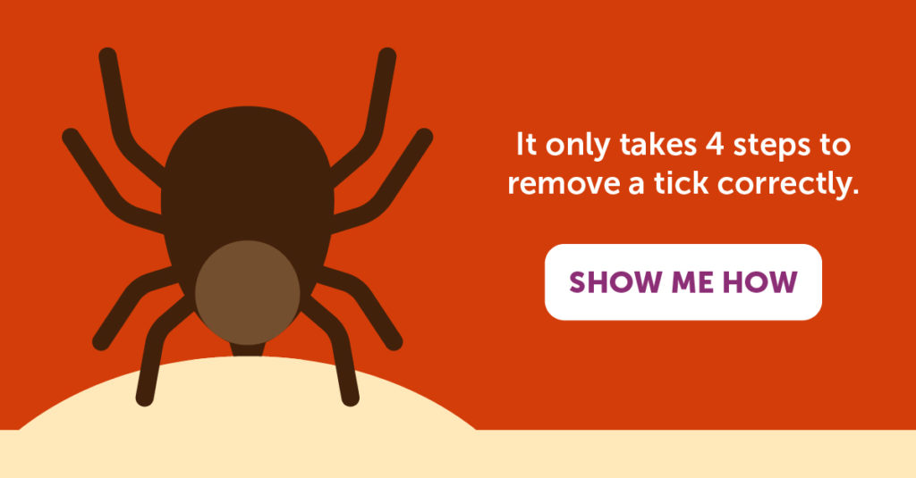 Don't be a tick target this summer Penn State PRO Wellness