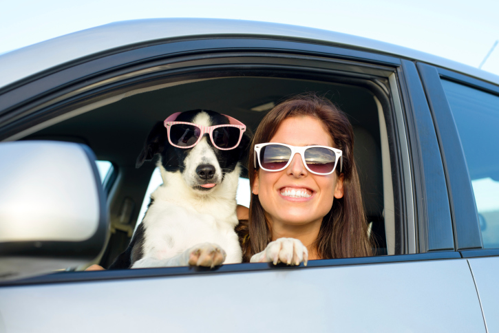 Dog and woman wearing sunglasses